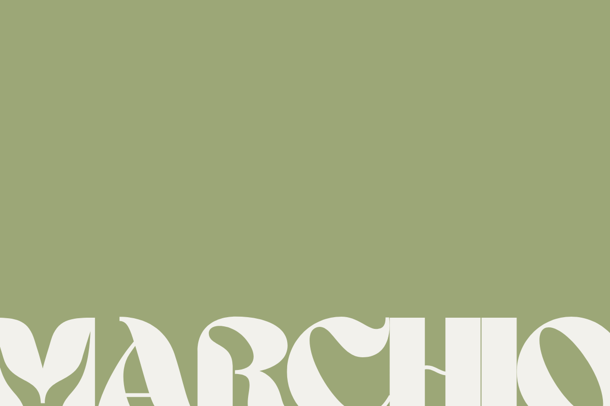 cover blog Carlo Visenti - scritta "marchio"
